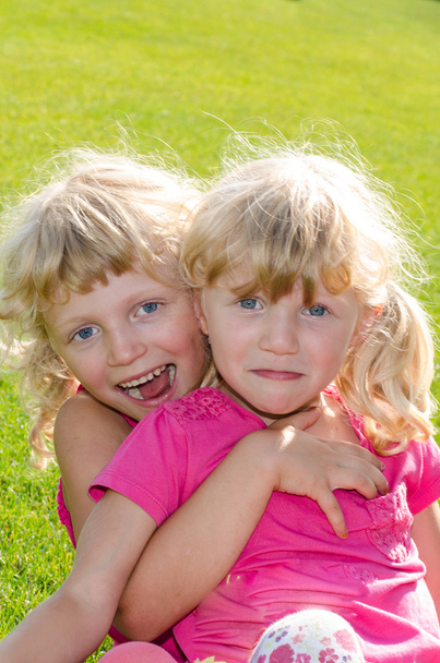 çimenlerin üzerinde sarışın kızlar - Fotoğraf, Görsel