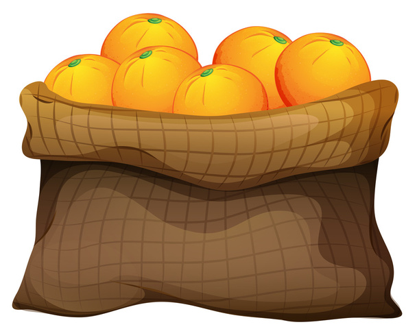 A sack of oranges - Vector, Image