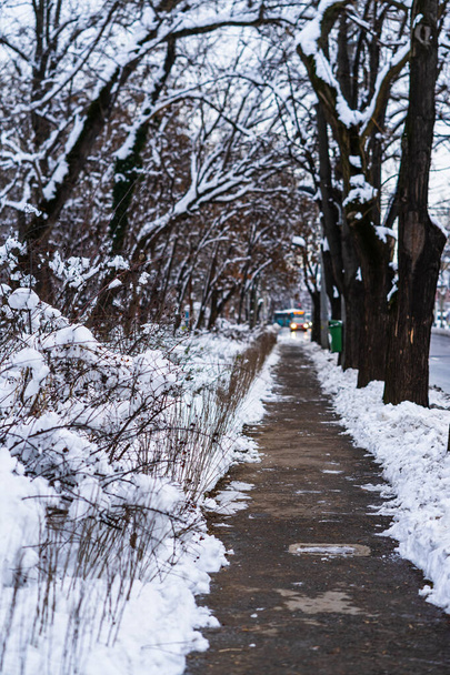 完璧な形の雪、朝の雪の環境。冬のコンセプト、凍結と雪に覆われた場所。ブカレスト,ルーマニア, 2021年の雪道 - 写真・画像