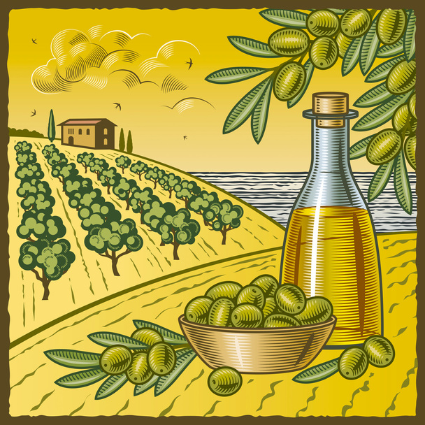 sklizně oliv - Vektor, obrázek