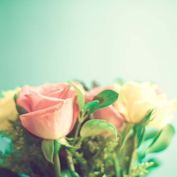 Rózsaszín és fehér rózsa - Fotó, kép
