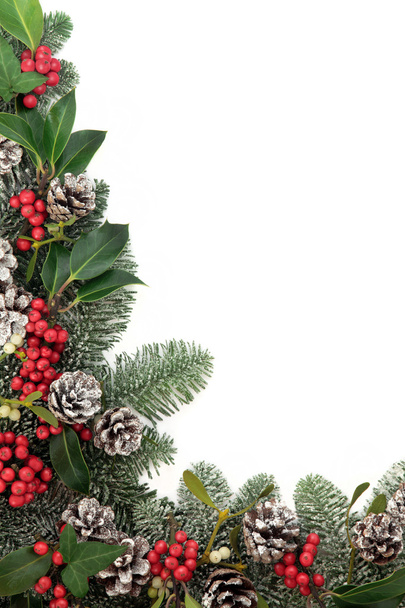 Frontera floral tradicional de Navidad
 - Foto, Imagen