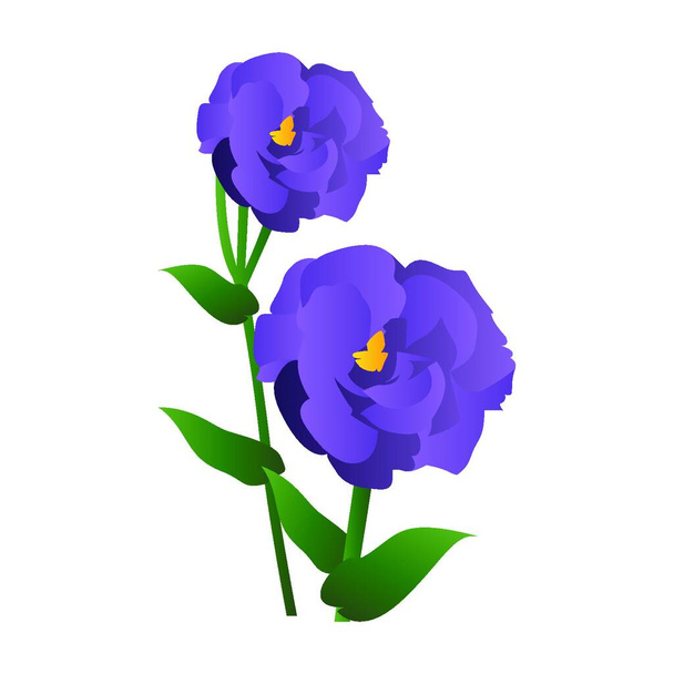 Vector illustration of purple lisianthus flowers with green leafs  on white background. - Vetor, Imagem