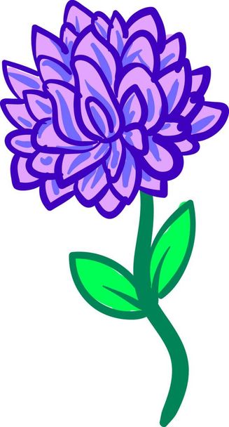 Aster flower on a steam  illustration  color  vector on white background - Vektor, kép