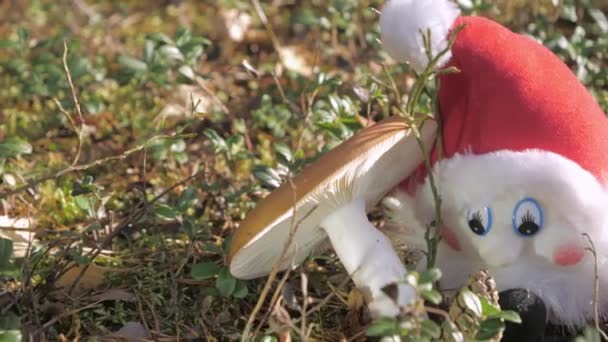 Lo gnomo giocattolo roba sul lato del fungo in Rovaniemi Finland.4k - Filmati, video