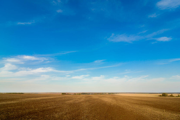  field with cirrus clouds - Photo, Image