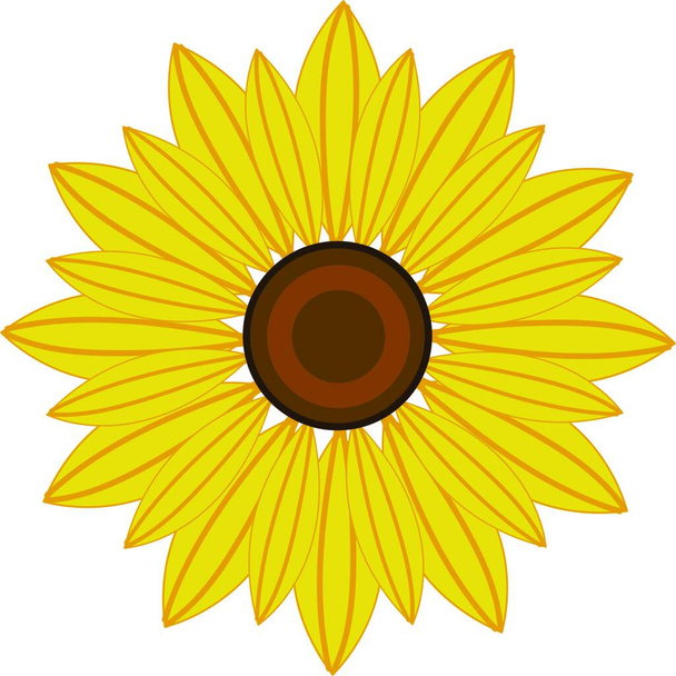 A beautiful single sunflower in bright yellow color, vector, color drawing or illustration. - Wektor, obraz