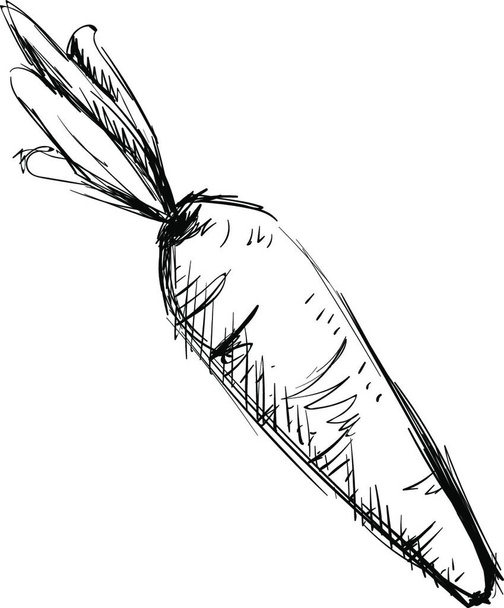 hand drawn sketch of a tree. vector illustration - Wektor, obraz