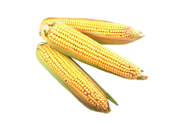 Mais isoliert auf weiß - Foto, Bild