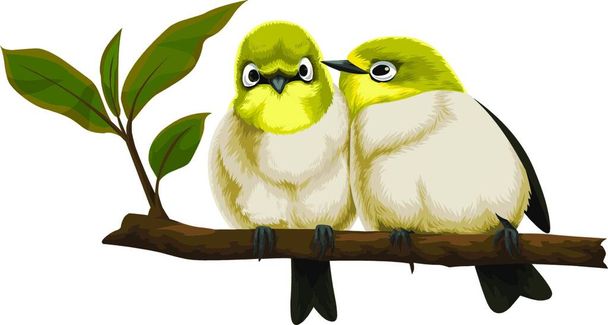 Vector illustration of lovebirds perching on tree branch. - Vecteur, image