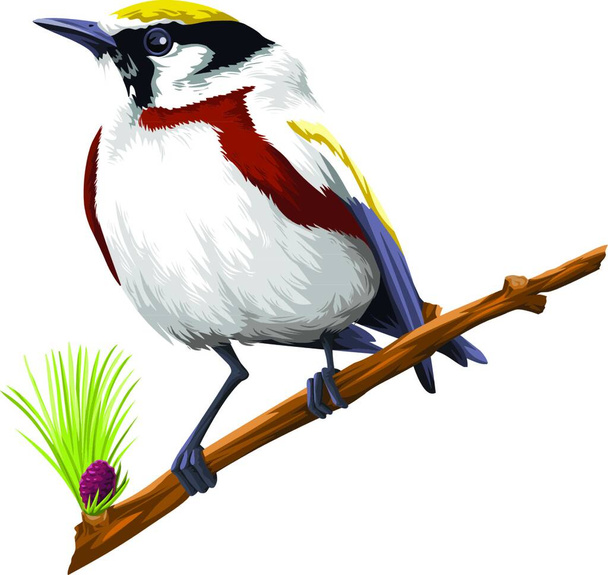 Vector illustration of bird perching on tree branch against white background. - ベクター画像
