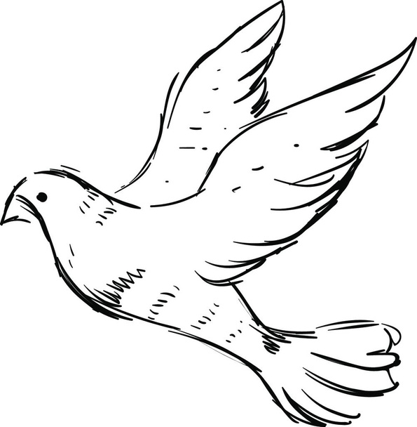 White dove, illustration, vector on white background. - Vector, Imagen