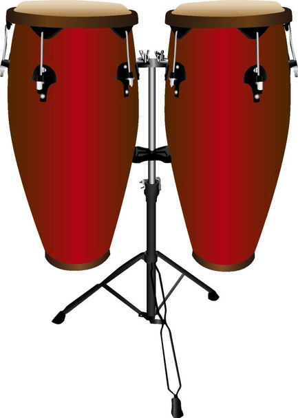 Set of conga  or tumbadora drums. - Vector, Image