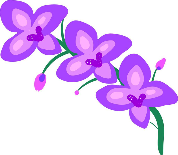 illustration of a purple flower - Wektor, obraz