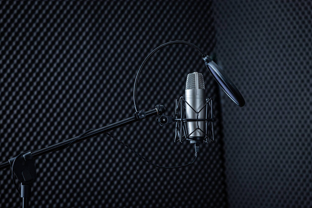 Professional Microphone in Recording Studio with  blank copy space background - Фото, изображение