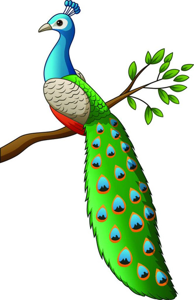 Cartoon cute peacock on a branch - Vector, Image