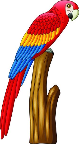 Dibujos animados lindo pájaro guacamayo - Vector, imagen