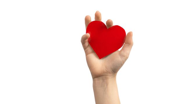 Έννοια για την ημέρα οργάνων. Χέρι κρατώντας κόκκινη καρδιά απομονώνονται σε λευκό φόντο. Αντιγραφή χώρου  - Φωτογραφία, εικόνα