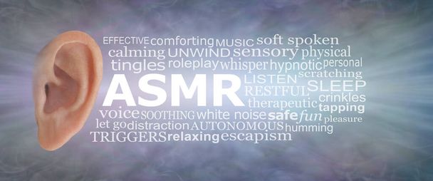 ASMR Word Cloud Concept - Palabras asociadas con la etiqueta de respuesta de meridiano sensorial autónomo nube sobre un fondo de efecto de longitud de onda de sonido gris azul que fluye  - Foto, imagen