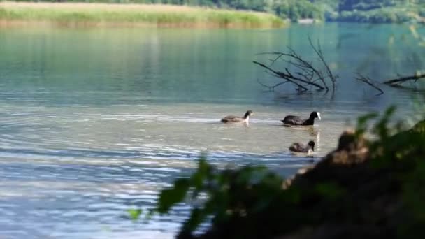 Lago Paperelle a Montagna in 4k - Filmati, video
