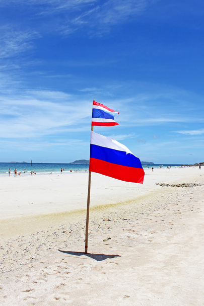 Flags on Koh Larn beach. More than 5,000 people daily are in Koh Larn during the high season - Photo, Image