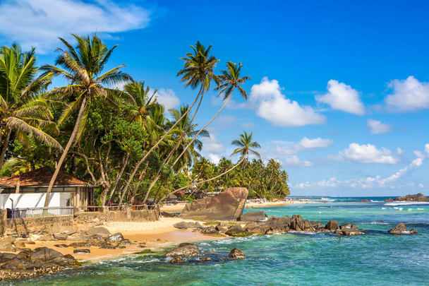 Rock and palm tree at Dalawella Beach in a sunny day in Sri Lanka - Zdjęcie, obraz