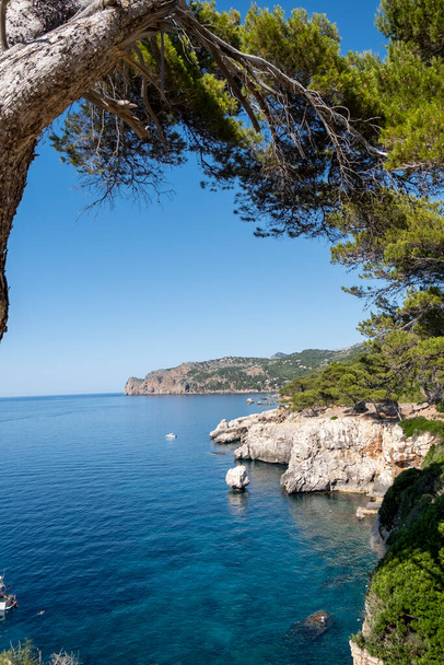 Cala Tomas, Deia, Mallorca, Balearic Islands, Spain - Фото, зображення