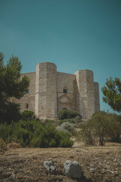 a vertical shot of white Castel del Monte Andria with trees under sunlight in Italy - Фото, изображение