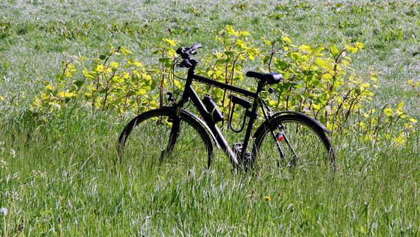 A black bicycle parked in a middle of a field - Φωτογραφία, εικόνα