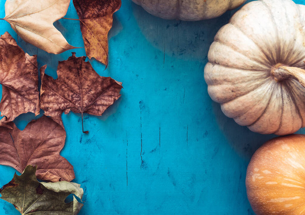 A top view of pumpkins with  dry Autumn leaves on the blue table - Foto, imagen