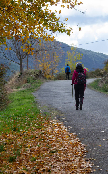 Мандрівник іде по асфальтній дорозі в Алпухаррі, повній охерного листя з осінніми деревами. - Фото, зображення
