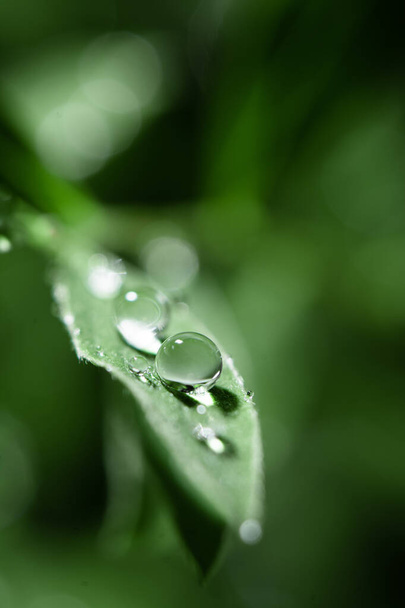 A vertical closeup shot of water droplets on a green leaf surface - Fotoğraf, Görsel