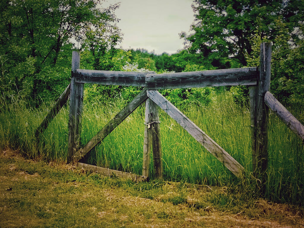 Un primer plano de la valla de madera en la naturaleza - Foto, Imagen