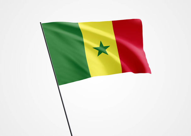 Bandera de Senegal ondeando alto en el fondo blanco aislado. 04 de abril Senegal día de la independencia. Colección mundial de bandera nacional Colección mundial de bandera nacional - Foto, imagen
