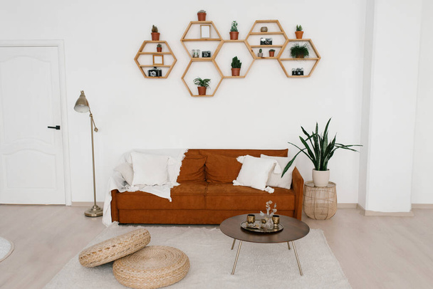 Stylish brown sofa with pillows and a blanket, floor lamp, potted flower, honeycomb shelves with decor, coffee table and ottomans on the carpet - Photo, Image