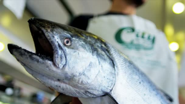 Meer Lachs Hechte Fischmarkt Seattle, Vereinigte Staaten - Filmmaterial, Video