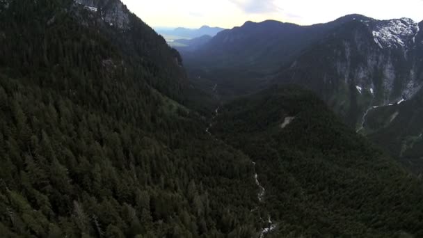 Aerial view extreme terrain valley forestation, Canada - Footage, Video