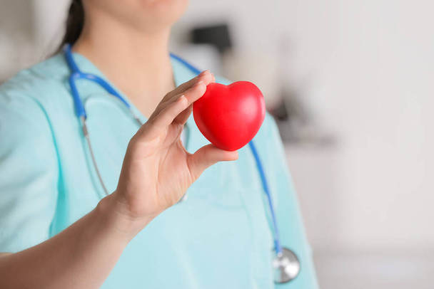 Female cardiologist holding red heart in clinic - Photo, Image