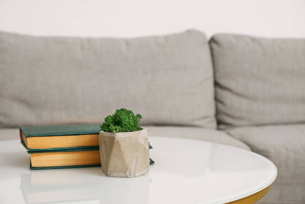 Pot with decorative green moss and books on table in room - Фото, зображення