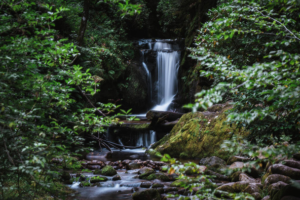 waterfalls of the black forest (Schwarzwald), Baden-Wuerttemberg, Germany - Zdjęcie, obraz