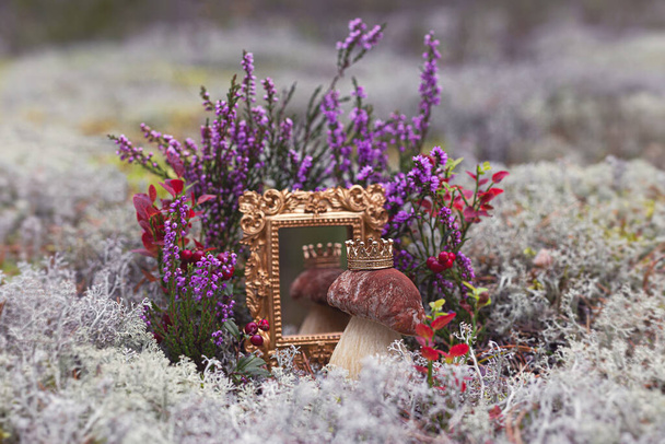 A small porcini mushroom (Boltus edlis) in a royal crown in front of a mirror in a golden frame, against the background of reindeer moss, cranberries, heather and pine forest. - Photo, Image
