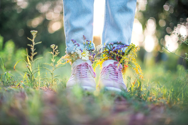 Yaz tarlasında ayakkabılar içinde güzel kır çiçekleri. Yaz arkaplanı - Fotoğraf, Görsel
