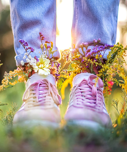 Mooie wilde bloemen in schoenen op een zomerveld. Zomer achtergrond - Foto, afbeelding