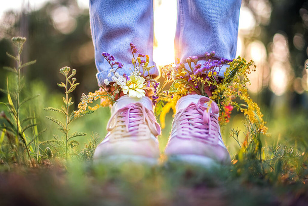 Yaz tarlasında ayakkabılar içinde güzel kır çiçekleri. Yaz arkaplanı - Fotoğraf, Görsel