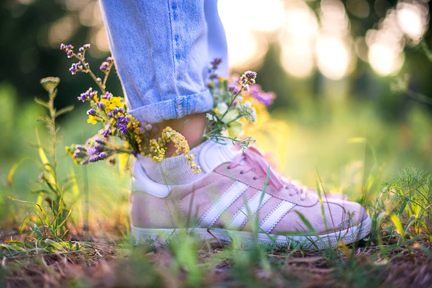 Kauniita villikukkia kengissä kesäpellolla. Kesätausta - Valokuva, kuva