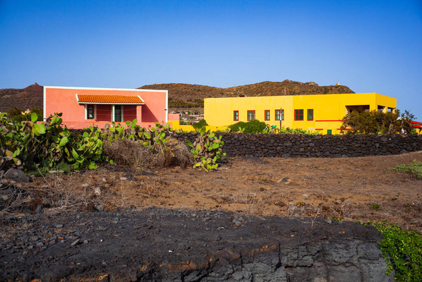 Vue caractéristique de Linosa avec les maisons colorées typiques et les poires chères dans le jardin - Photo, image