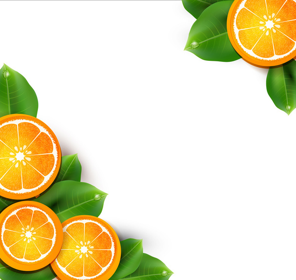 Oranges on the white background - Διάνυσμα, εικόνα