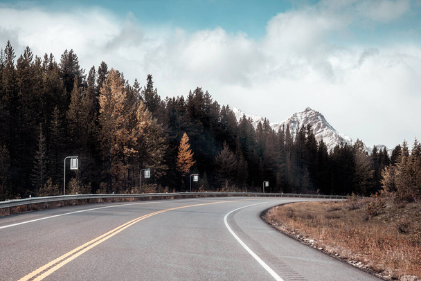 Viaje en coche por carretera con montañas rocosas y bosques de pinos en otoño en el Parque Nacional Banff, Canadá - Foto, Imagen