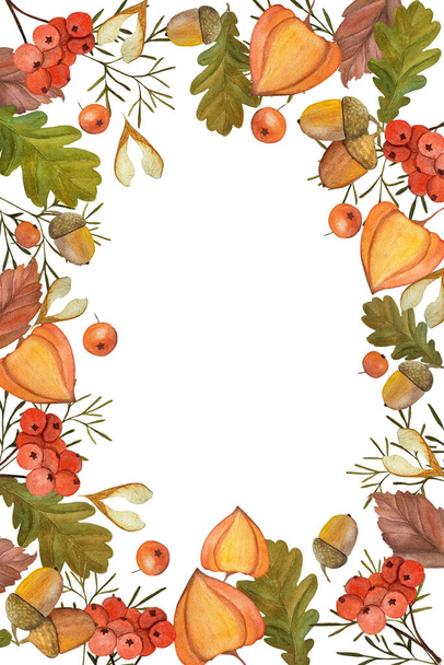 Autumn frame, postcard with watercolor illustrations. Oak leaves, orange physalis, rowan bunch, acorns - Foto, immagini