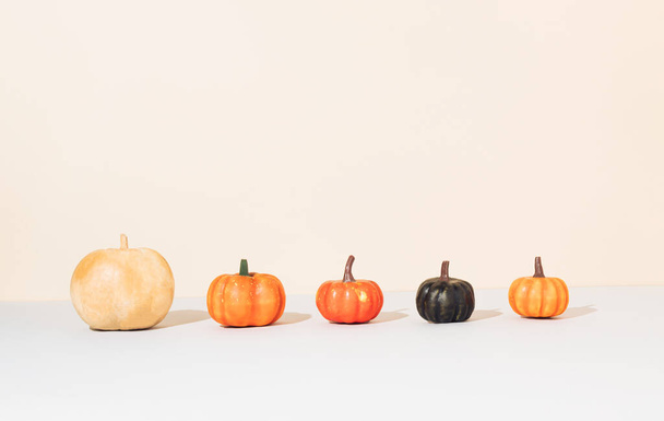 Kreatives Herbst-Layout mit bunten Kürbissen auf beigem Hintergrund mit Kopierfläche. Halloween Natur Konzept. Moderne Ästhetik. - Foto, Bild